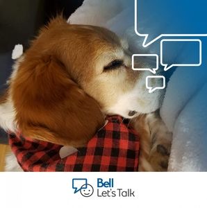 Meet your Posher, June